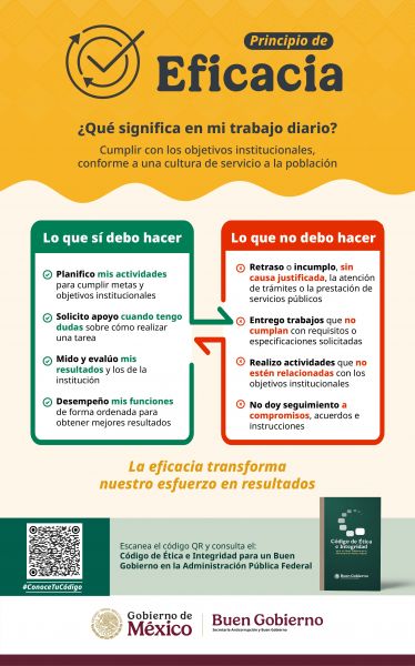 PRINCIPIO DE EFICACIA